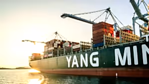 Güneşin ışıkları altında konteyner dolu bir gemi, limanda yükleme sırasında.