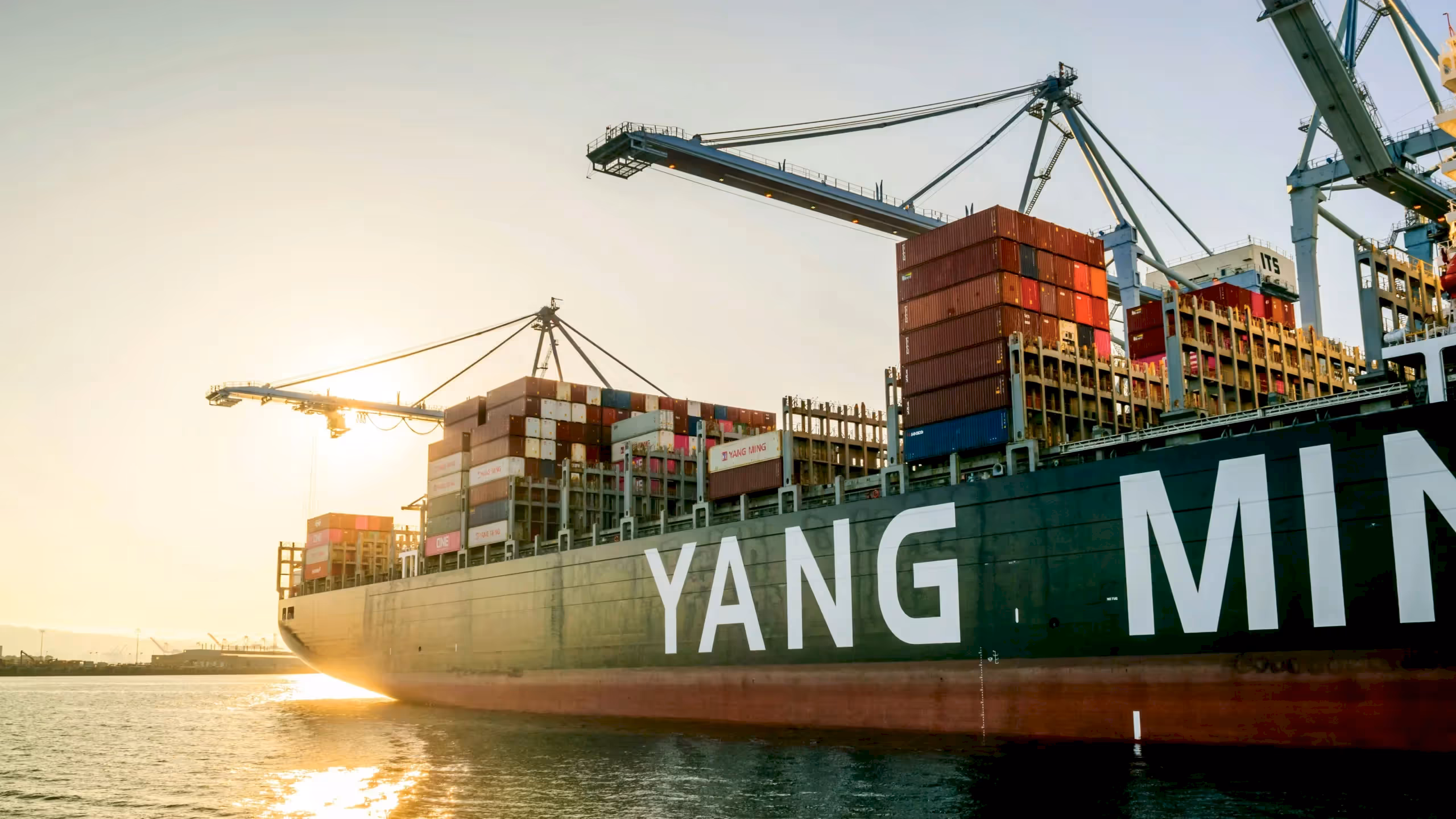 Yurtdışı Teknik Müşavirlik Destekleri