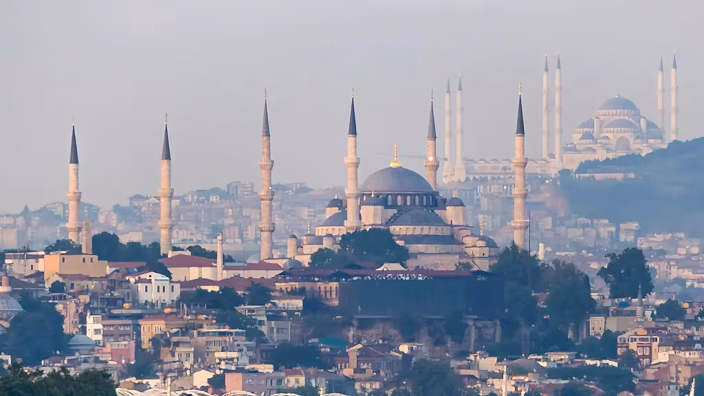 İstanbul'un tarihi cami siluetleri ve gökyüzünde süzülen bir martı.